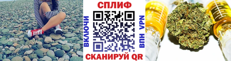 ГАШ Новозыбков