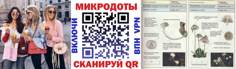 Купить где  Новозыбков  Псилоцибиновые грибы Cubensis 