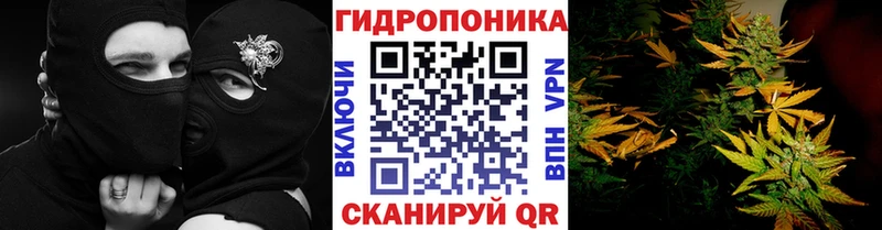 Купить где  Новозыбков  Бошки Шишки индика 